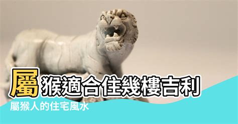 屬猴方位|屬猴的人住什麼房子、樓層、方位最吉利？準的離譜！。